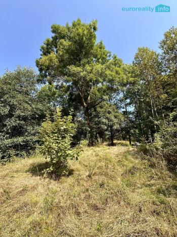 Prodej pozemku pro bydlení, Merklín - Lípa, 1004 m2