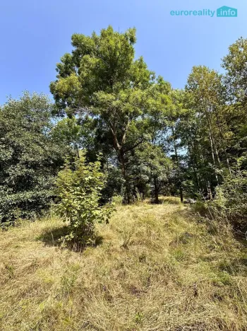 Prodej pozemku pro bydlení, Merklín - Lípa, 1004 m2