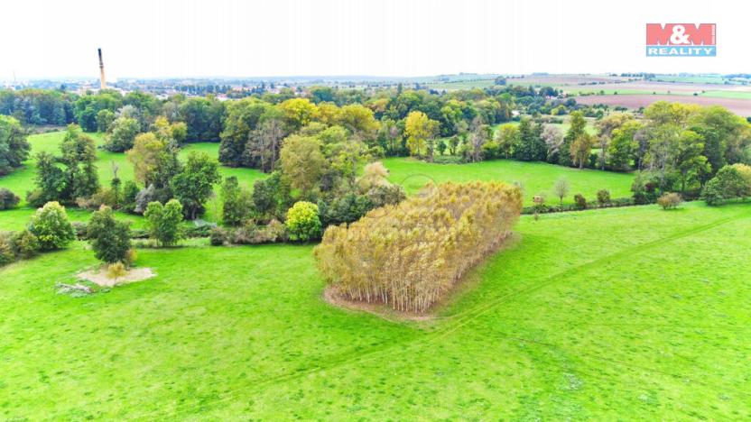 Prodej lesa, Skřivany, 1461 m2