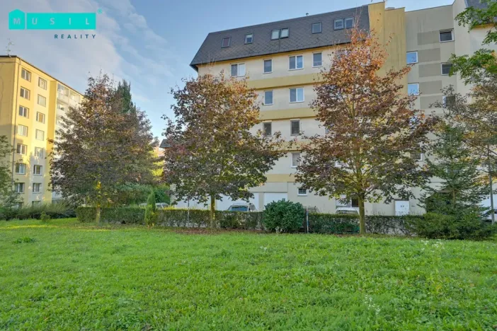 Pronájem bytu 3+kk, Olomouc - Nová Ulice, Bacherova, 83 m2