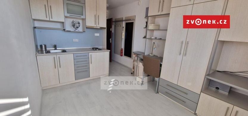 Pronájem bytu 1+kk, Zlín - Malenovice, I. Veselkové, 20 m2