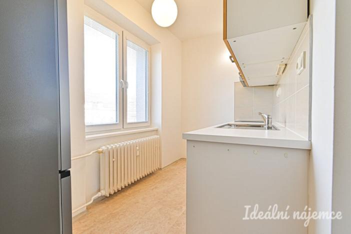 Pronájem bytu 2+1, Brno - Staré Brno, Výstavní, 59 m2