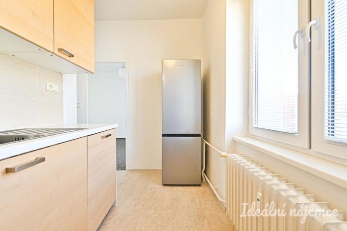 Pronájem bytu 2+1, Brno - Staré Brno, Výstavní, 59 m2