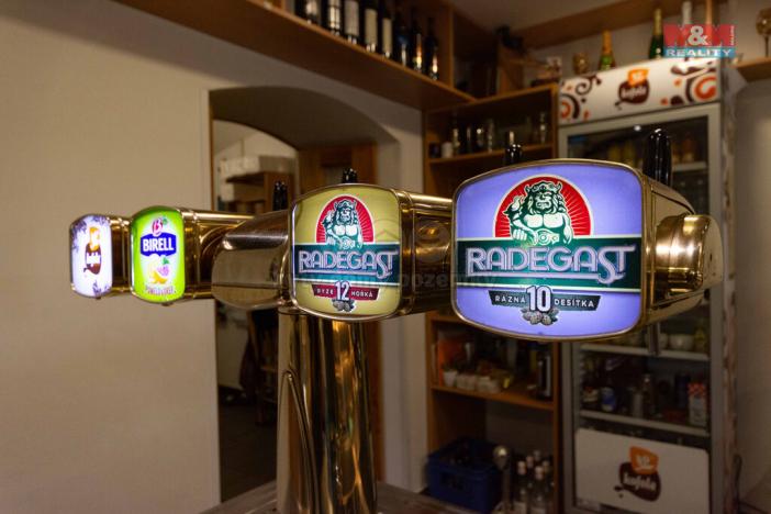 Prodej restaurace, Třemešná - Rudíkovy, 399 m2