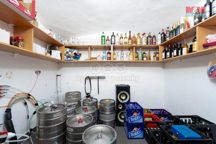 Prodej restaurace, Třemešná - Rudíkovy, 399 m2