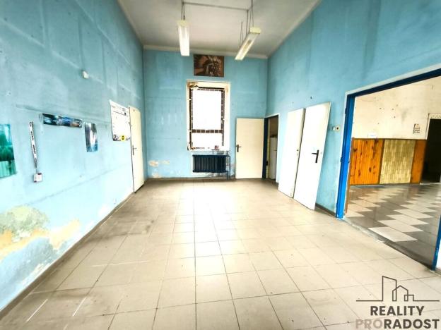 Prodej obchodního prostoru, Dnešice - Černotín, 268 m2