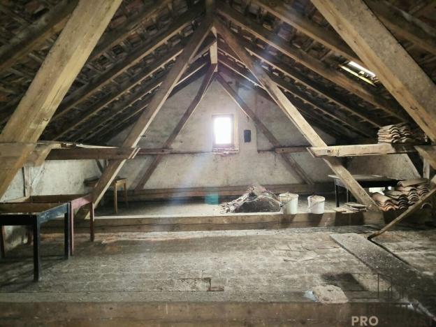 Prodej obchodního prostoru, Dnešice - Černotín, 268 m2