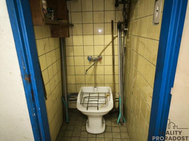 Prodej obchodního prostoru, Dnešice - Černotín, 268 m2