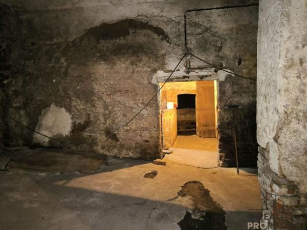 Prodej obchodního prostoru, Dnešice - Černotín, 268 m2