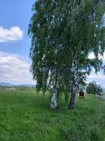 Prodej pozemku pro bydlení, Liběšice - Zimoř, 8000 m2