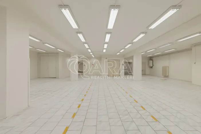 Pronájem obchodního prostoru, Nový Jičín, Masarykovo nám., 500 m2