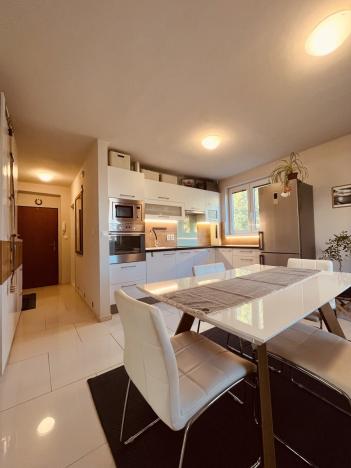 Pronájem bytu 3+kk, Ostrava - Hrabůvka, Provaznická, 54 m2