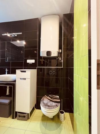 Pronájem bytu 3+kk, Ostrava - Hrabůvka, Provaznická, 54 m2