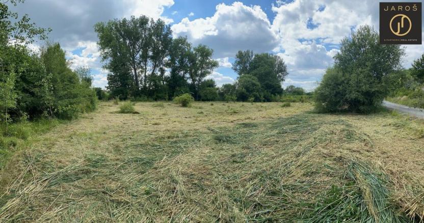Prodej louky, Tachlovice, 2641 m2