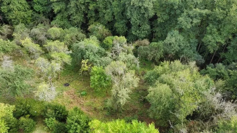 Prodej zahrady, Hýskov, 1984 m2