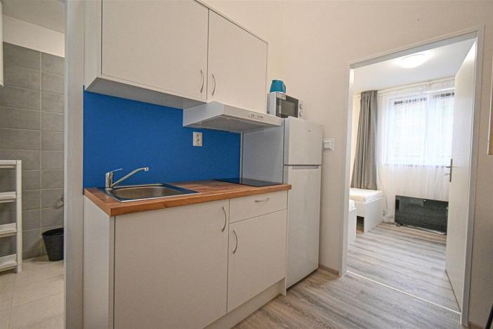 Pronájem bytu 1+kk, Brno, Hybešova, 34 m2