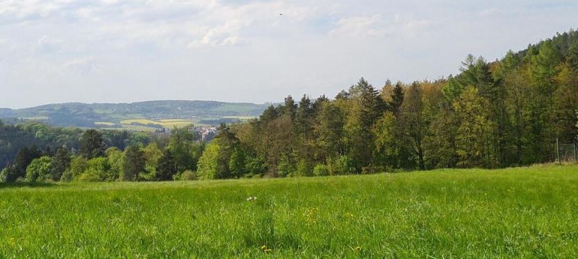 Prodej louky, Stříbrná Skalice, osada Na Hradcích, 12376 m2