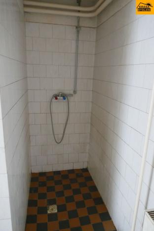 Prodej komerční nemovitosti, Moravec, 3983 m2