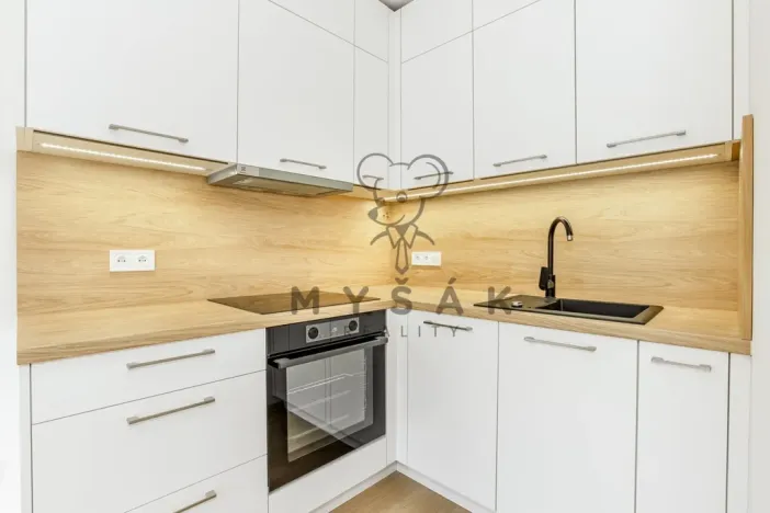 Pronájem bytu 1+kk, České Budějovice - České Budějovice 6, Palmová, 27 m2