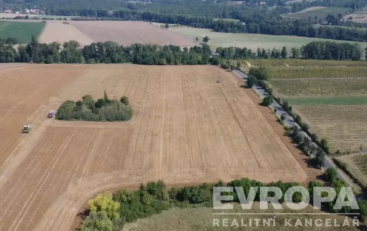 Prodej zemědělské usedlosti, Ploskovice - Těchobuzice, Těchobuzice, 1180 m2