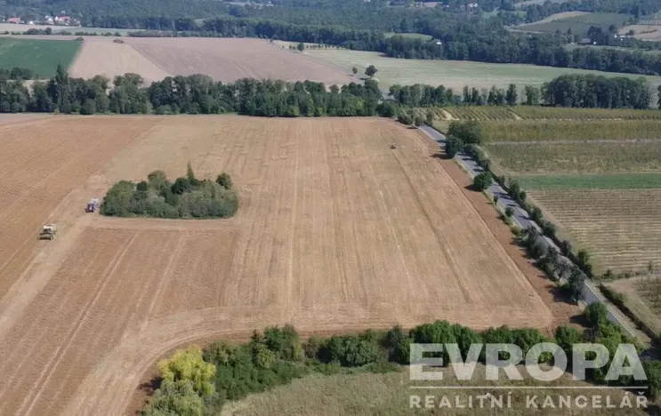 Prodej zemědělské usedlosti, Ploskovice - Těchobuzice, Těchobuzice, 1180 m2