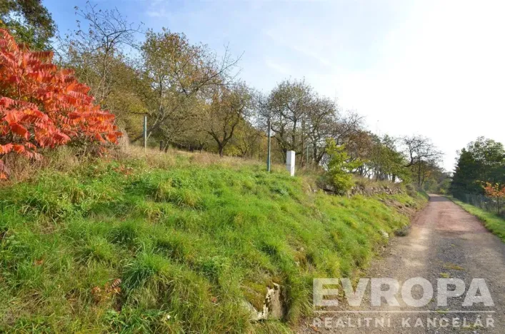 Prodej pozemku pro bydlení, Pečice - Pečičky, 2320 m2