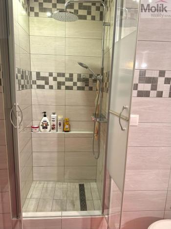 Prodej bytu 3+1, Teplice - Prosetice, Pod školou, 74 m2