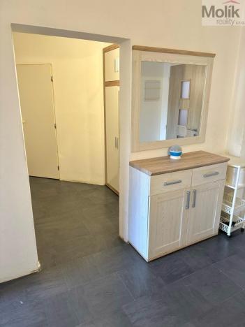 Prodej bytu 3+1, Teplice - Prosetice, Pod školou, 74 m2