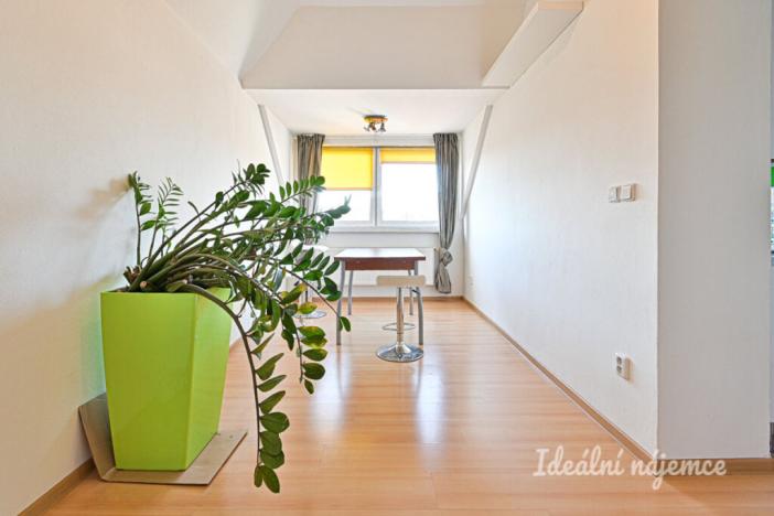 Pronájem bytu 3+kk, Brno, Palackého třída, 91 m2