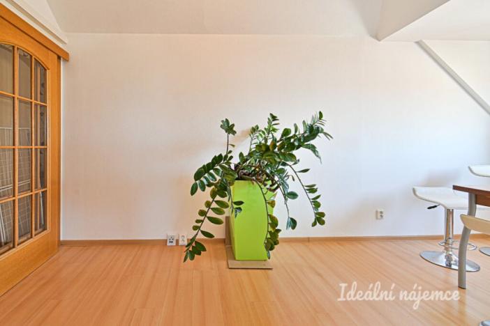 Pronájem bytu 3+kk, Brno, Palackého třída, 91 m2