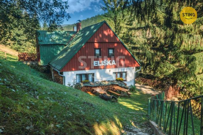 Prodej ubytování, Pec pod Sněžkou - Velká Úpa, 220 m2