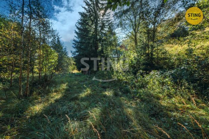 Prodej ubytování, Pec pod Sněžkou - Velká Úpa, 220 m2