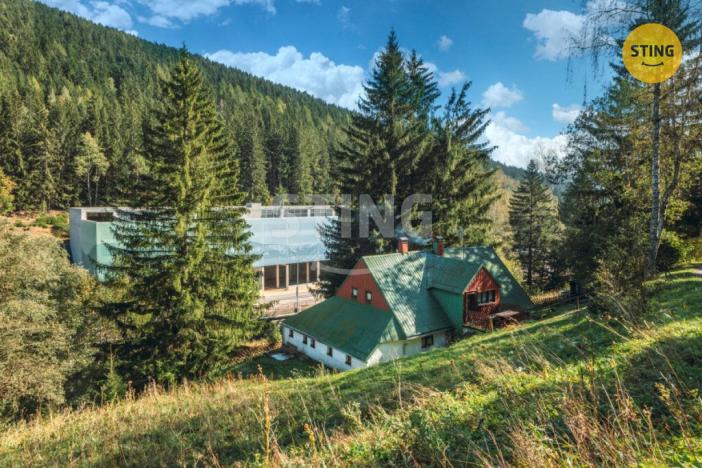 Prodej ubytování, Pec pod Sněžkou - Velká Úpa, 220 m2