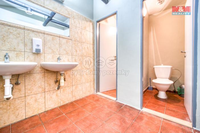 Pronájem obchodního prostoru, Plzeň - Jižní Předměstí, Americká, 102 m2