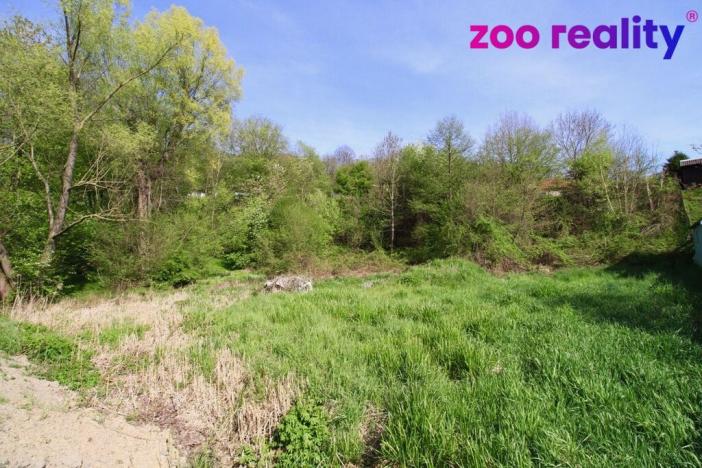 Prodej pozemku pro bydlení, Vidov, 1215 m2