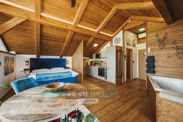 Pronájem bytu 1+kk, Frymburk, 46 m2