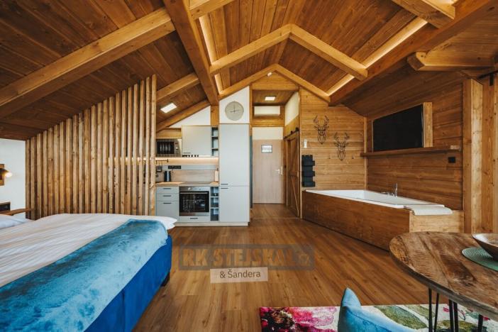 Pronájem bytu 1+kk, Frymburk, 46 m2