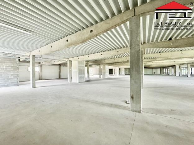 Pronájem obchodního prostoru, Brno - Brněnské Ivanovice, Kaštanová, 700 m2