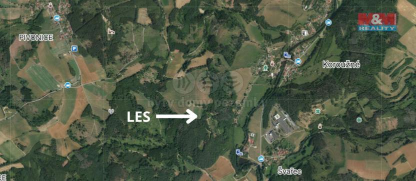 Prodej lesa, Koroužné, 4497 m2