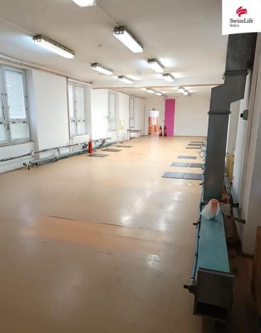 Pronájem obchodního prostoru, Třebíč, Polanka, 768 m2