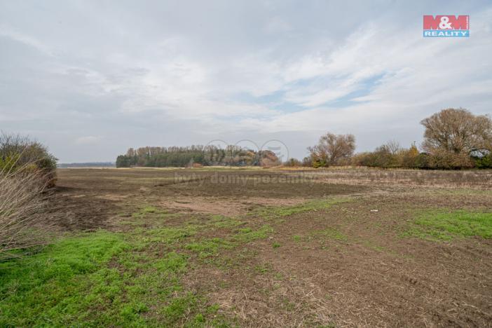 Prodej pole, Věrovany, 8477 m2