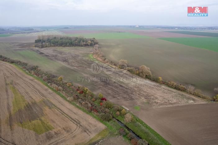 Prodej pole, Věrovany, 8477 m2