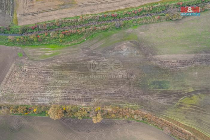 Prodej pole, Věrovany, 8477 m2