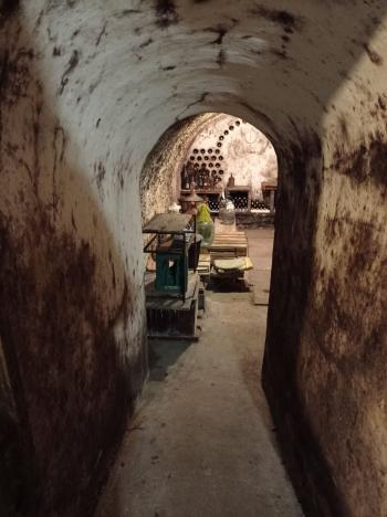 Prodej vinného sklepa, Mikulov, Zlámalova, 40 m2