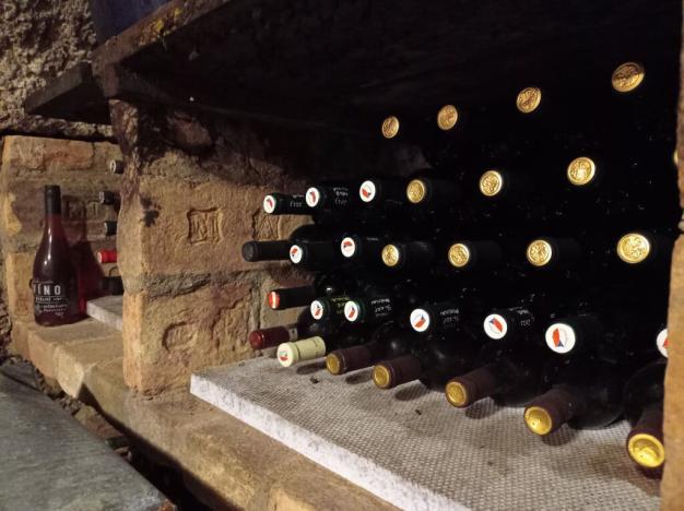 Prodej vinného sklepa, Mikulov, Zlámalova, 40 m2