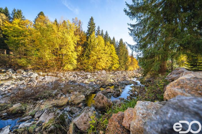 Prodej bytu 1+kk, Kořenov, 29 m2