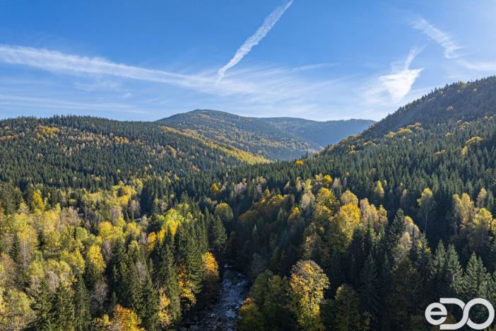 Prodej bytu 1+kk, Kořenov, 29 m2