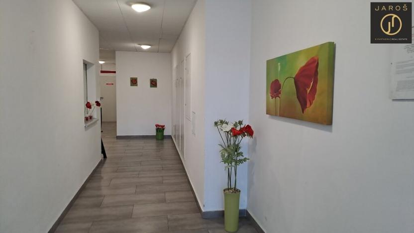 Prodej bytu 3+kk, Karlovy Vary, Pražská silnice, 95 m2