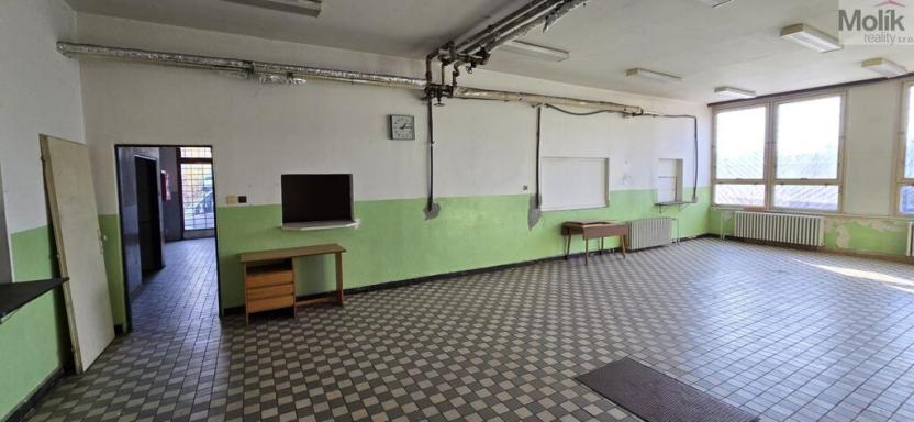 Pronájem komerční nemovitosti, Malé Březno, 210 m2