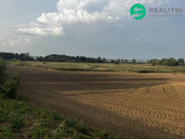 Prodej pole, Pavlov, 6292 m2